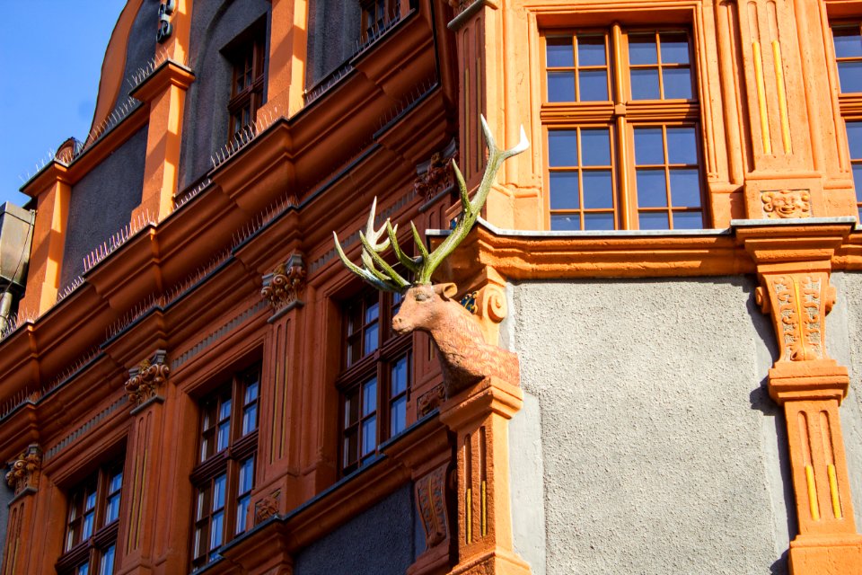 Hirsch, Schönhof (Görlitz)