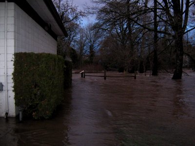 HighWaterBehindStraubCenter
