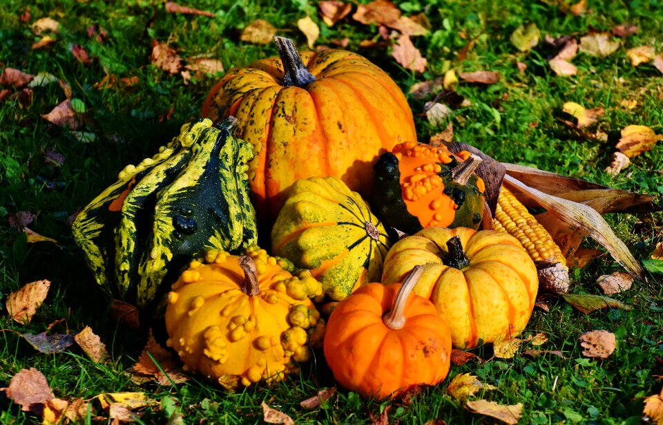 Autumn decoration colorful