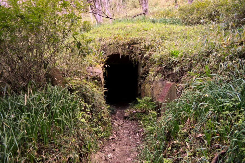 Hirano-Ogata Kofun Group 11-4, entrance