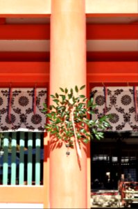 Hikawa-jinja Omiya Saitama 002