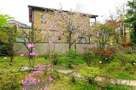 Hikoso Ryokuchi Garden - Kanazawa, Japan - DSC00049