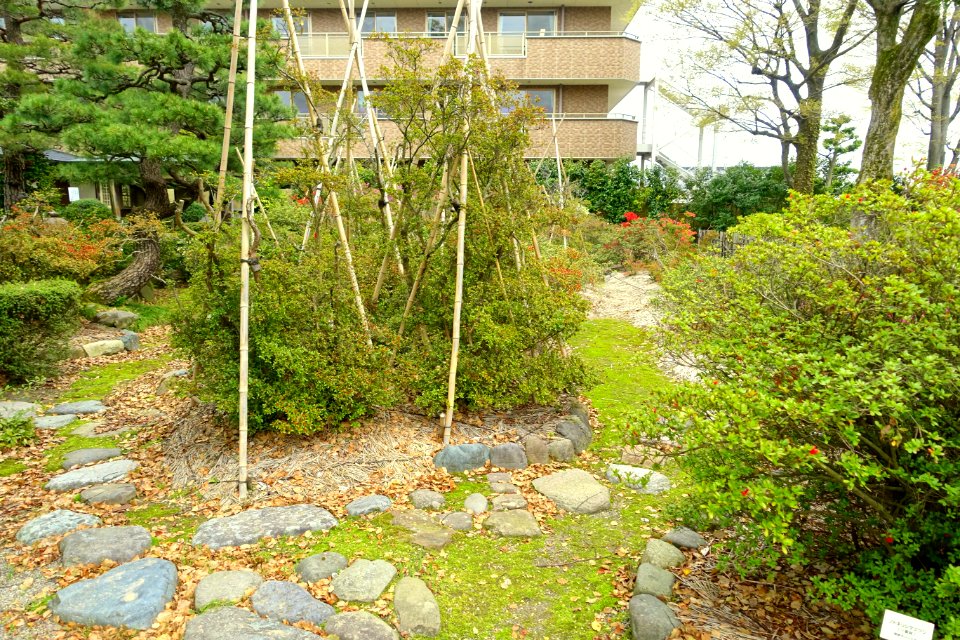 Hikoso Ryokuchi Garden - Kanazawa, Japan - DSC00055