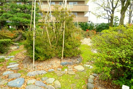 Hikoso Ryokuchi Garden - Kanazawa, Japan - DSC00055