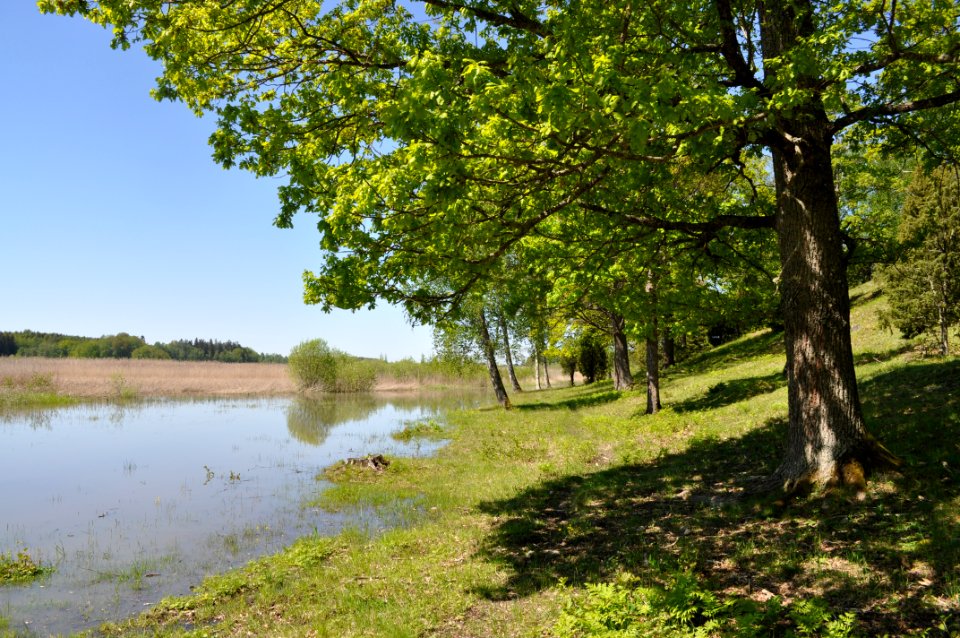 Himlingeåsens natureservat och Kyrksjön