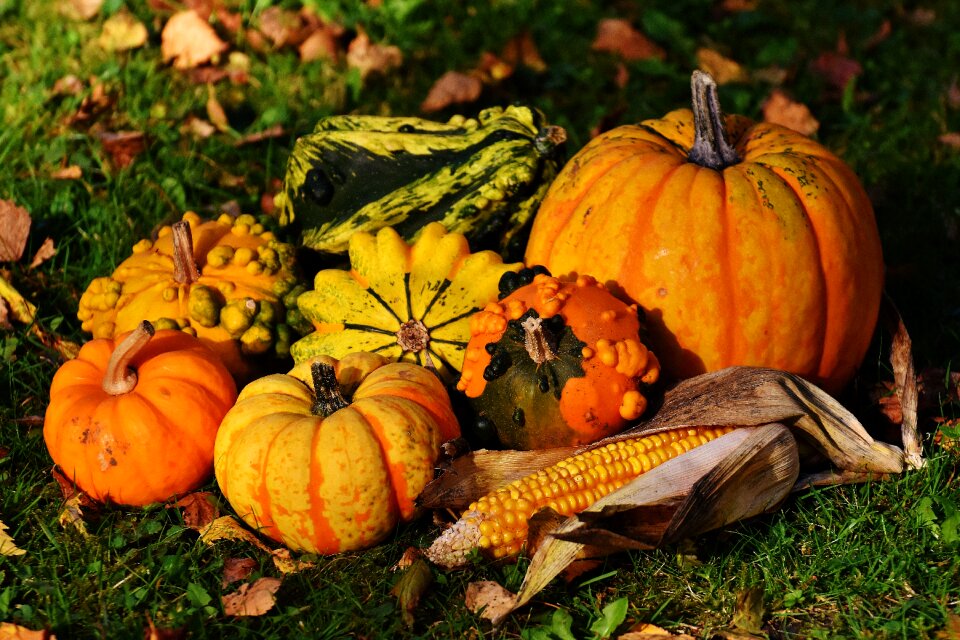 Autumn decoration colorful
