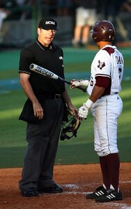 Batter baseball bat bat photo