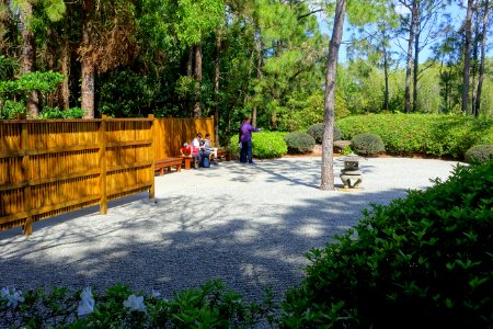 Hiraniwa Flat Garden - Morikami Museum and Japanese Gardens - Palm Beach County, Florida - DSC03402