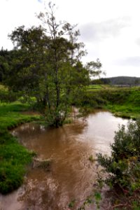 High water in Broälven 5