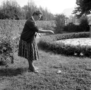 Hildegard Eschen, echtgenote van Van de Poll, met een schildpad aan een lijn, Bestanddeelnr 254-5101