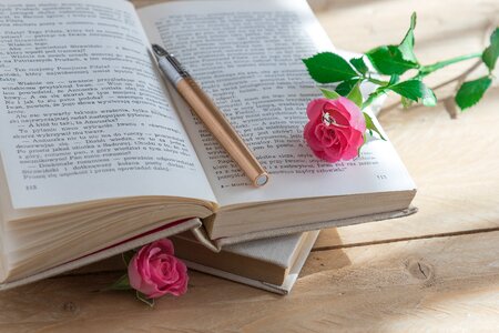 Old book romantic ring photo