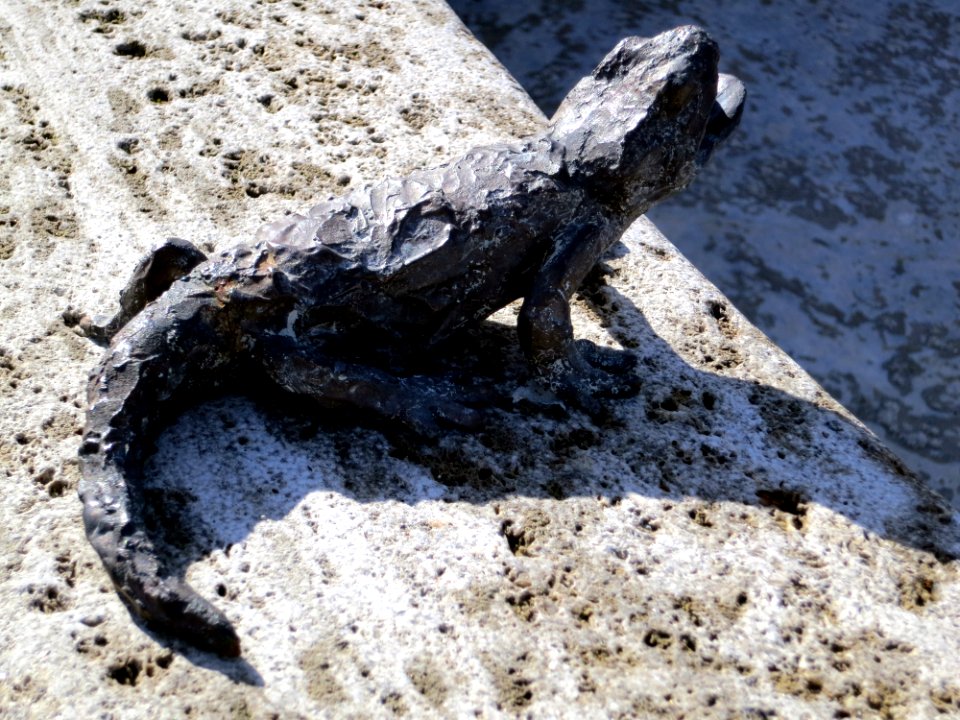 Hildegardbrunnen Detail Salamander