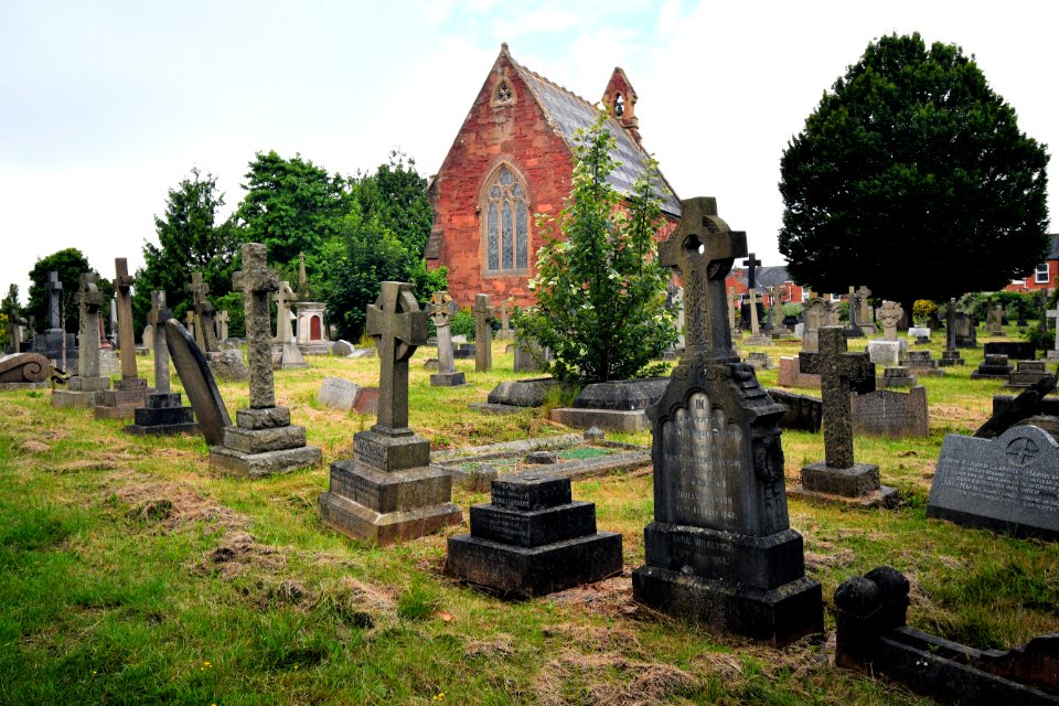 Higher Cemetery Exeter 2020-06-20 7