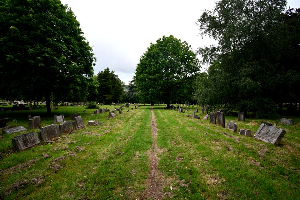 Higher Cemetery Exeter 2020-06-20 2