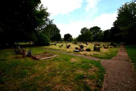 Higher Cemetery Exeter 2020-06-20 3