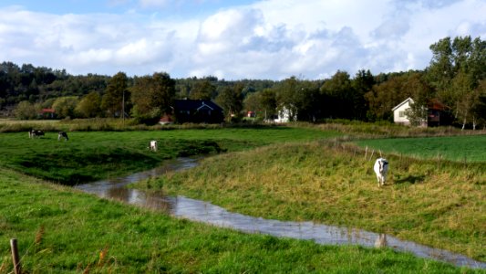 High water in Broälven 1