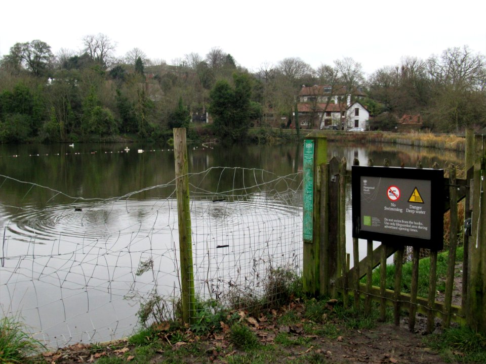 Highgate Men's pond (out of season)