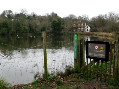 Highgate Men's pond (out of season)