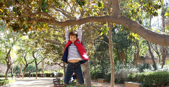 Happy tree hanging photo