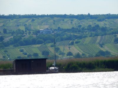 Hill Side (201071957)
