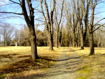 Hillcrest Cemetery (Grafton State Hospital Memorial Cemetery) - Shrewsbury, MA - DSC04484