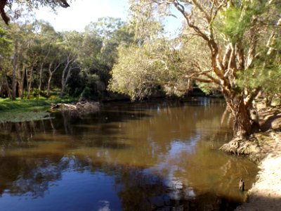 Hillards Creek at Ormiston Park photo