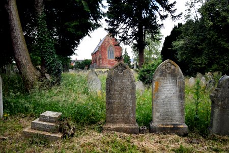 Higher Cemetery Exeter 2020-06-20 6