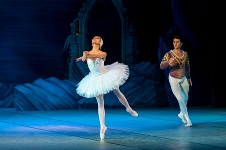 Dance swan elegance