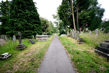 Higher Cemetery Exeter 2020-06-20 5