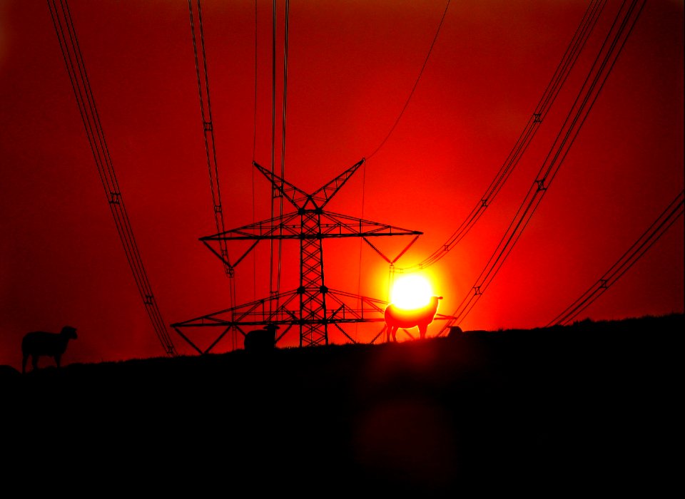 High voltage, over dyke and sheep