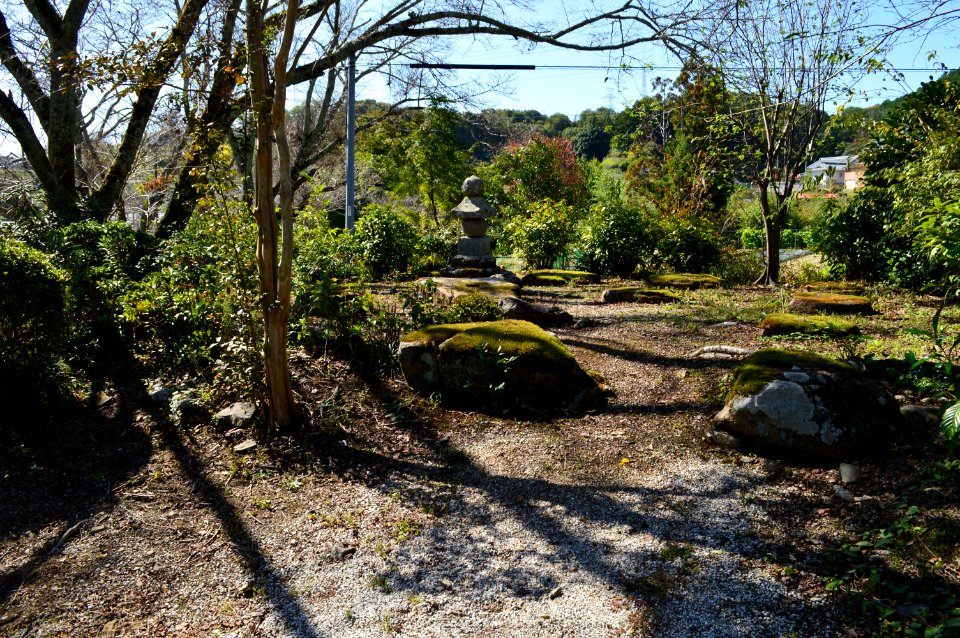 Hisodera, saitou-2