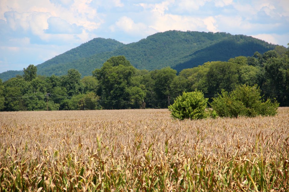 High Top Donley Mtn from Tellico Plains, Sept 2019 1