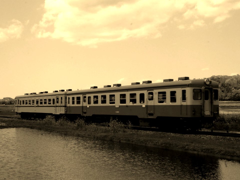 Hitachinaka Kaihin Railway Kiha 20 & Kiha 2000 Series (Sepia)