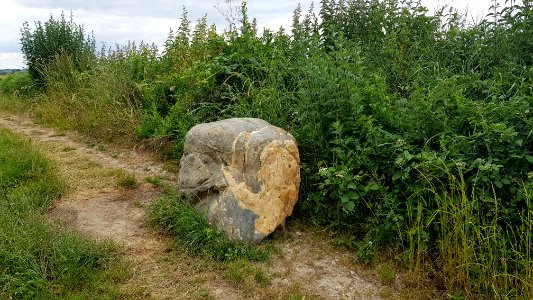 Hilleshagen-kei Gulkoelerweg-Höfkengats (2)