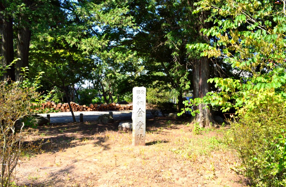Hitachi-kokubunji-ato kondou