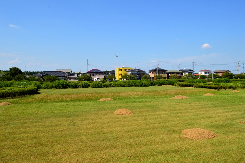 Hitachi-kokubunniji-ato koudou