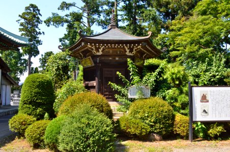 Hitachi-kokubunji senkadou
