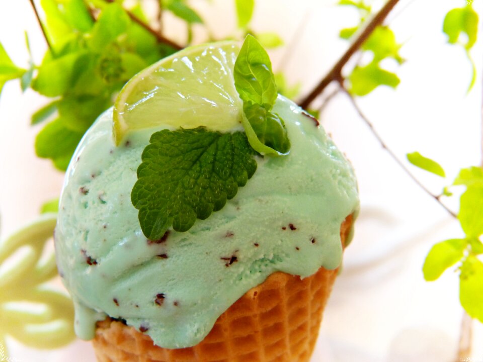 Peppermint mint basil