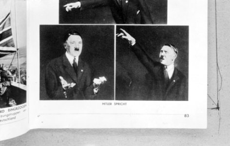 Hitler tijdens redevoering, Bestanddeelnr 917-6263