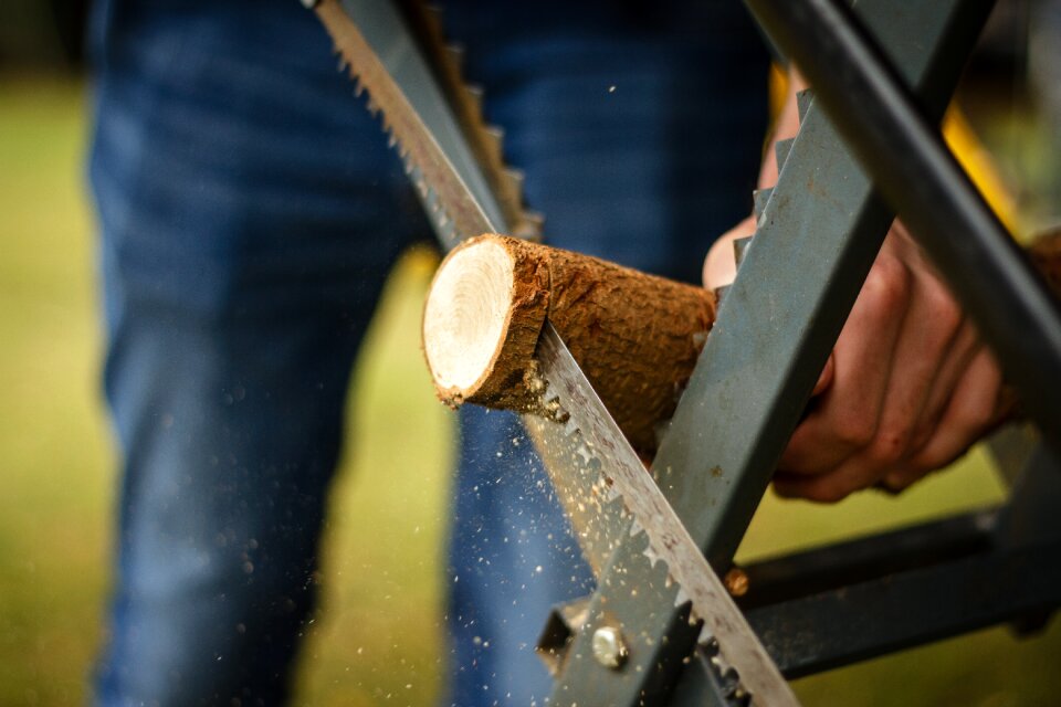 Tree sawed off woodworks