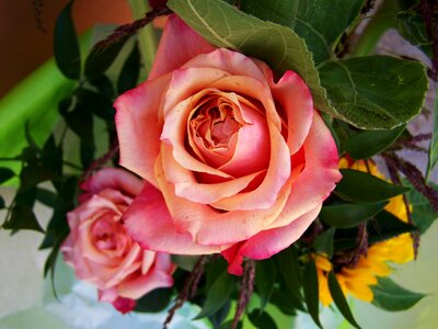 Bunch of flowers rose cut flower