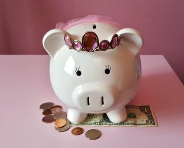 Pink savings save photo