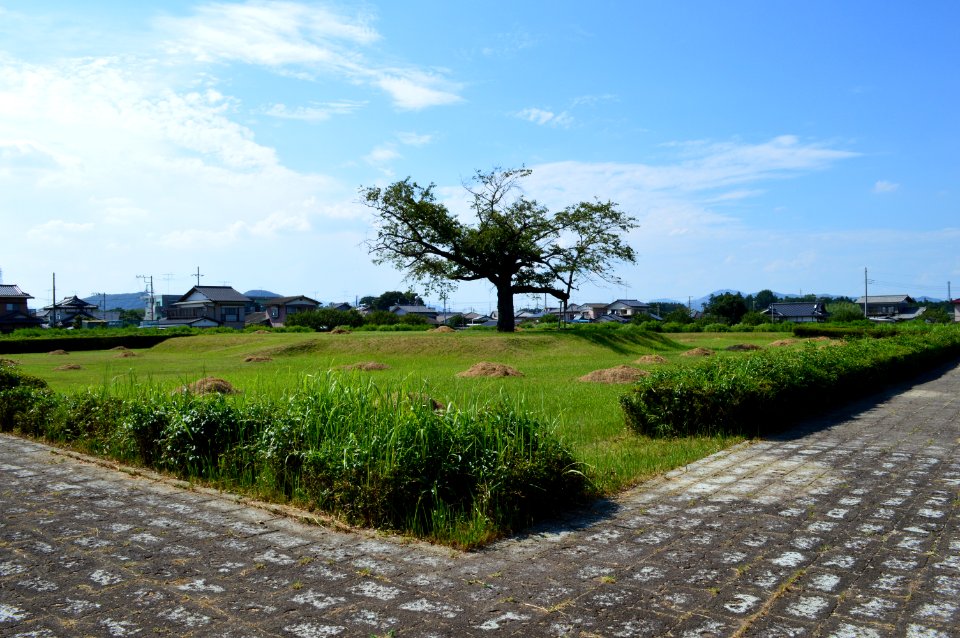 Hitachi-kokubunniji-ato kairou&kondou