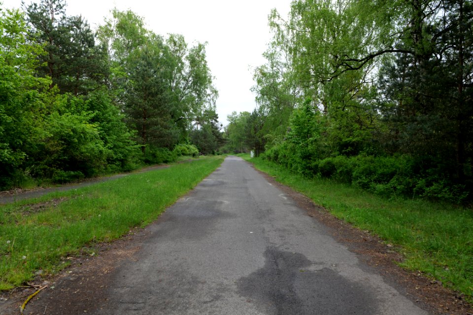 Himmelpforter Landstraße Fürstenberg Havel 2021-05-29 01