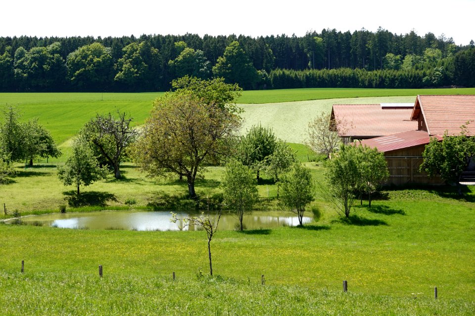 Hinteregglburg Ebersberg