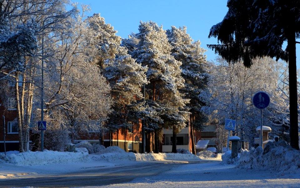 Hintantie Oulu 20190126