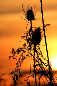 Landscape abendstimmung evening sky