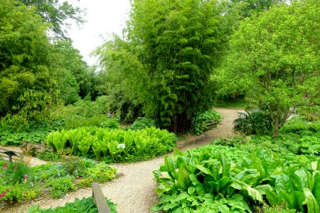 Hillier Gardens - Romsey, Hampshire, England - DSC05001