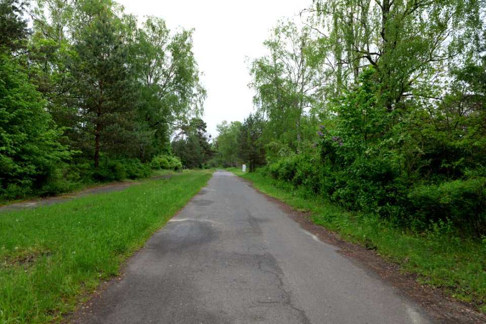 Himmelpforter Landstraße Fürstenberg Havel 2021-05-29 02