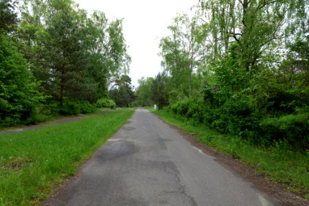 Himmelpforter Landstraße Fürstenberg Havel 2021-05-29 02
